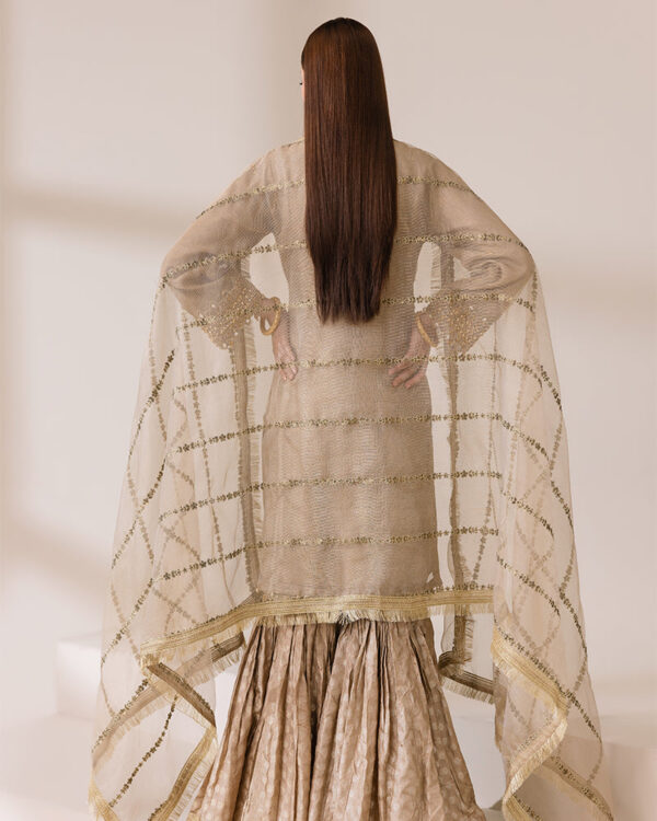 Pakistani gharara - Image 4