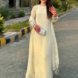 CHIFFON PANNI WORK SUIT