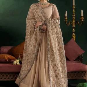 Anarkali pishwas