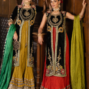 Luxury velvet Pakistani 3 piece suit with silk dupatta and Jamawar embroidery