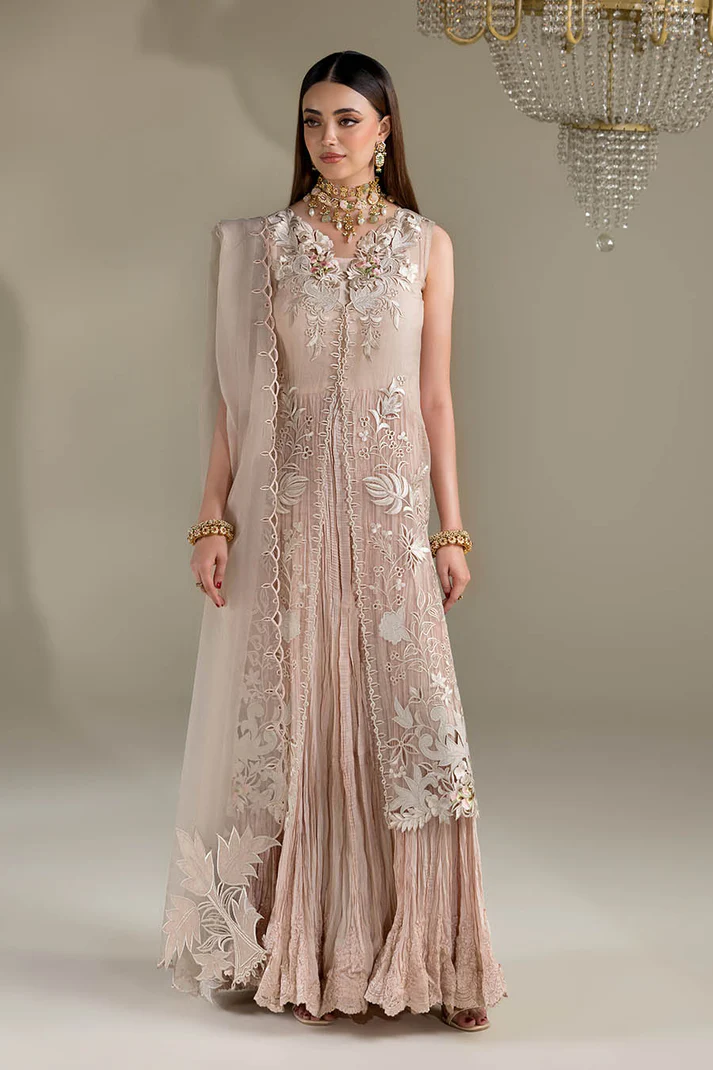 Pakistani Party Wear